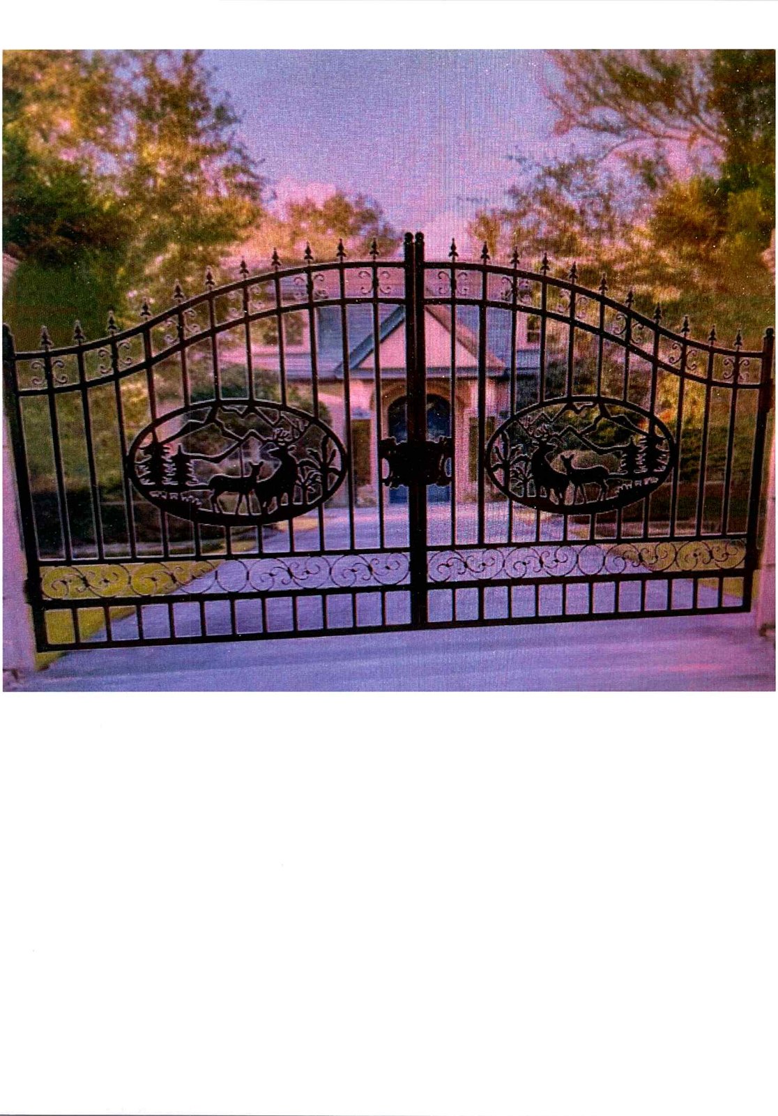 CUSTOM ALUMINUM FENCING & GATES — photo 6