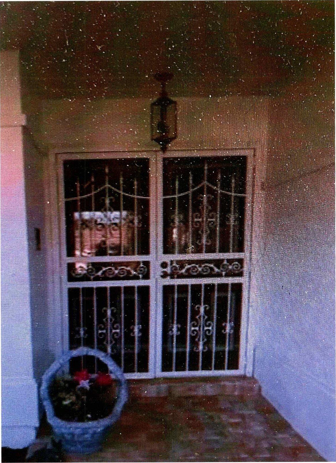 SCREEN, SECURITY & STORM DOORS — photo 6