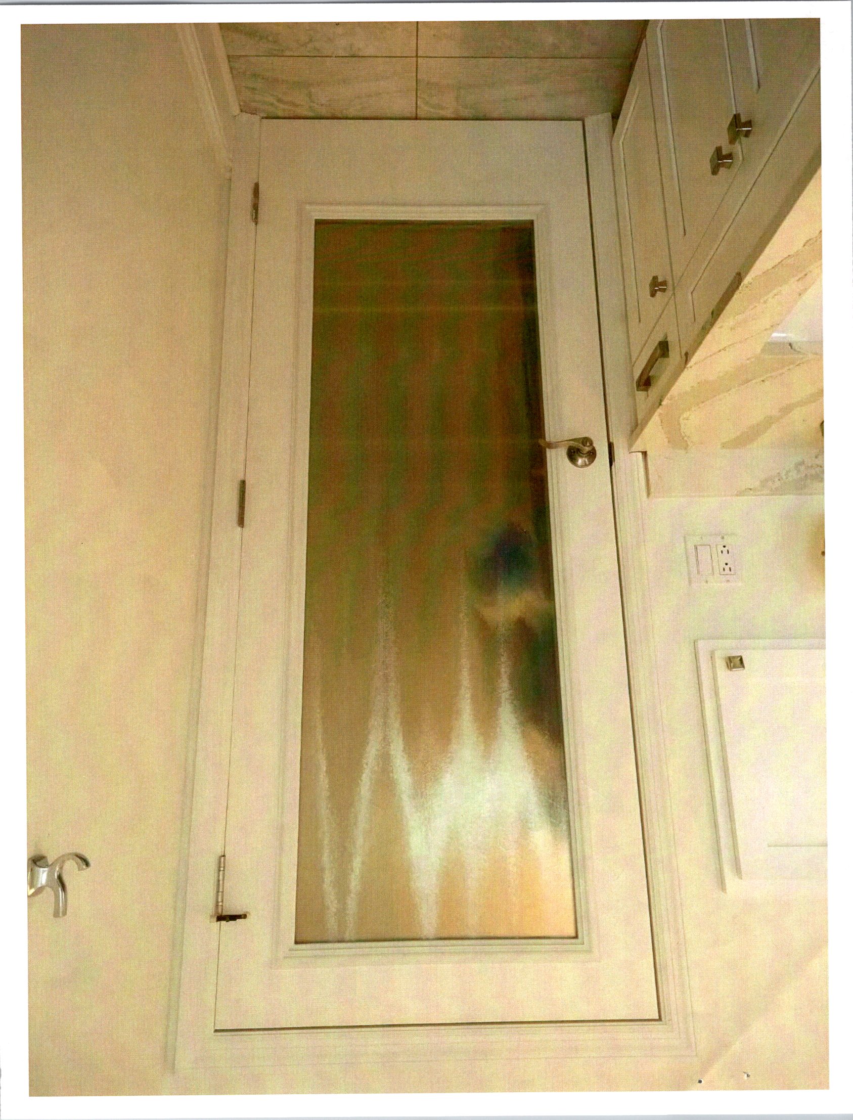 Interior Bathroom Door with Chinchilla Insert